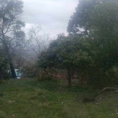 Nathinicest's profile picture. I'm here for just for fun and am also curious about your reasoning ability 🧠.I will follow back