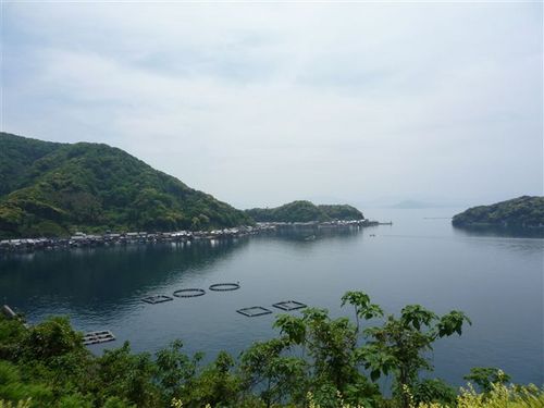 matsukunkun's profile picture. 職業柄、移動が多い(１日のうちのほとんどが電車／バス内)日常でしたが、パンデミックでそれも無くなり、脚を動かすことから手を動かす日々でしたが、コロナ禍も落ち着きだし、また移動し始めました。