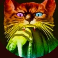 NettiLDN KPSS 🦖 (@nettildn) 's Twitter Profile Photo NettiLDN KPSS 🦖 (@nettildn) 's Twitter Profile Photo