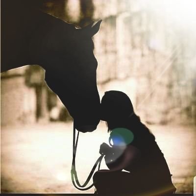 Agropecuarista♡ apaixonada por cavalos🐎 Cristã ✝️
No amor não há medo antes o perfeito amor lança fora o medo
1 João 4:18
