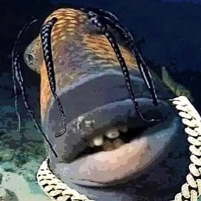 DeMarcusReal1's profile picture. 