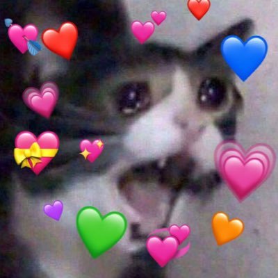 allipallyy's profile picture. K💚 | she/her