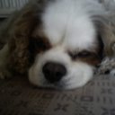 steve heath - @themerecat - Twitter