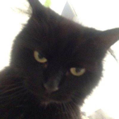 betsjoaopnunes's profile picture. 📉 studying value bets | @jjoaopnunes