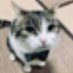 jake the snake 🐈 🐀 (@beasttoat) Twitter profile photo jake the snake 🐈 🐀 (@beasttoat) Twitter profile photo