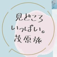 茂原市観光協会 (@mobarashikankou) 's Twitter Profile