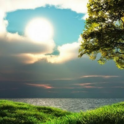 SPucana's profile picture. 