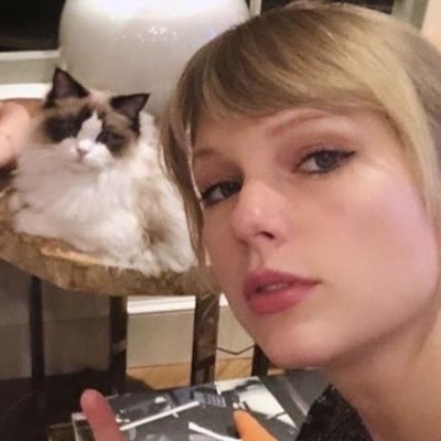 taylorspots's profile picture. eu e o armin construindo casinha no minecraft