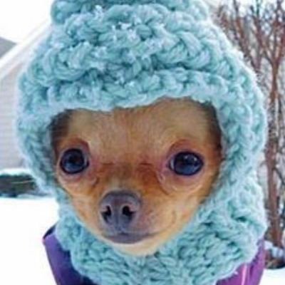 bimp1098's profile picture. 개 잡.덕. 구독계 *성인*