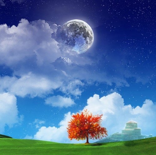 飯田ゆき Profile