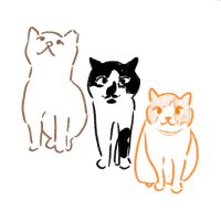 🇵🇸Macro, Güs, Bunito (&Ivy🌈🌉) (@ivyround) 's Twitter Profile Photo 🇵🇸Macro, Güs, Bunito (&Ivy🌈🌉) (@ivyround) 's Twitter Profile Photo