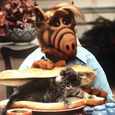 metadatarecords's profile picture. 