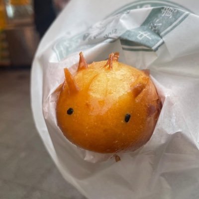 tsuji94483499's profile picture. 法政大学法学部法律学科入学予定𓂃𓈒𓏸︎︎︎︎ 愛媛県から上京予定 #春から法政 #春から法政大学