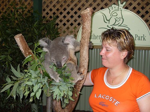 Arabrab74's profile picture. talent acquisitie, tennis, humor, reizen