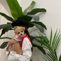 取引 (@ini_transaction) 's Twitter Profile