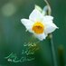 🇮🇷🇮🇷🇮🇷🇮🇷mohamad (@mohammad_424) Twitter profile photo
