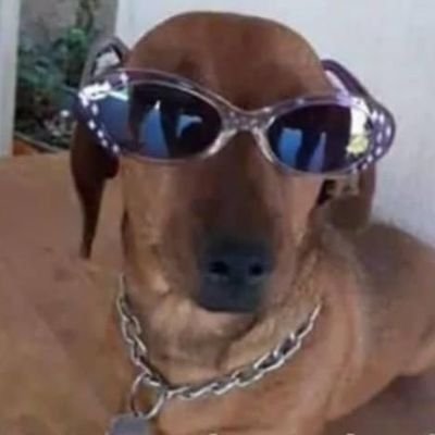 wtfbrooow's profile picture. 