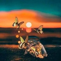 Afra ⁦🇵🇰⁩⁦🇵🇰⁩⁦⁦🇵🇰⁩ (@afra7576) Twitter profile photo
