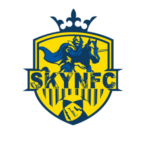 سـكـاي النصر | SKYNFCさんのプロフィール画像