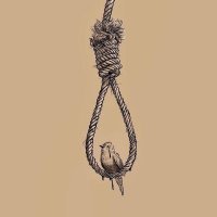 mλнsλ (@mahsa3997) 's Twitter Profile