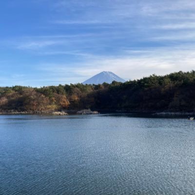 tctwr208's profile picture. 