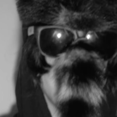 ihearturblood's profile picture. she doesnt listen to alex g like i do 19