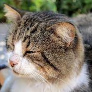 gXElMz8cDTFQe39's profile picture. 