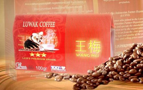 Indonesian Original Luwak Coffee under lisenced of LCIFO (Luwak Coffee Indonesian Farmer Organization)