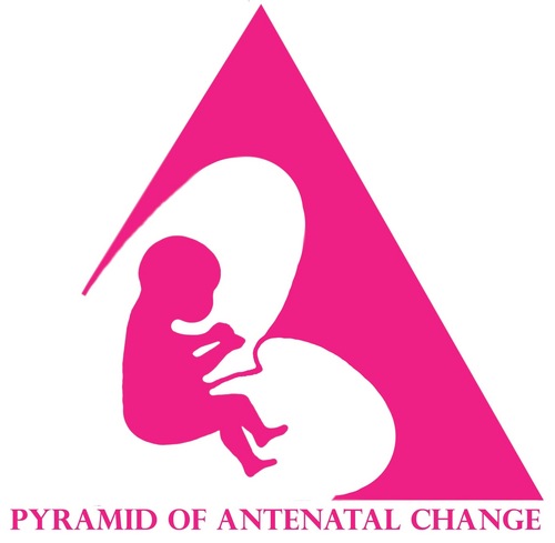 Pyramid of Antenatal Change, working to preventing term stillbirth, birth trauma. Backed FMF Prof. Kypros Nicolidies & many more.
