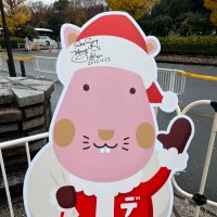 おーすき (@shushuri_lolo) 's Twitter Profile