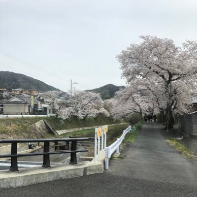 toraさんのプロフィール画像