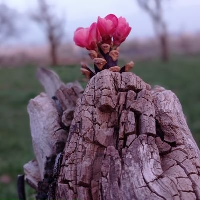 ali00227502's profile picture. 