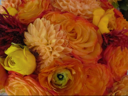 Laurs126's profile picture. 