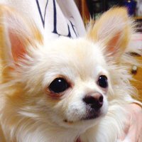 なんでやねん (@nandeyanen04211) 's Twitter Profile Photo なんでやねん (@nandeyanen04211) 's Twitter Profile Photo