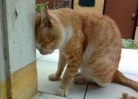 maltsev_e's profile picture. 