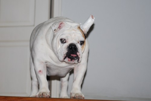 mjl242's profile picture. 