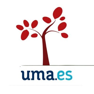 Chair of Family Business of University of Málaga (Spain)