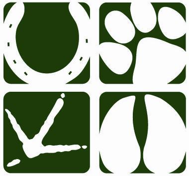 MBG is a friendly and professional vet practice in Droitwich, Worcester & Webbs of Wychbold. We care for horses, farm animals, pets & exotics.

01905 773262
