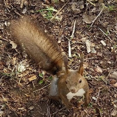 北海道在住。

自然が好き。
子供の頃みたいに薪ストーブ生活に戻りたい。
免疫力高める食を広めたい。

蕎麦打ちにはまり中♥️