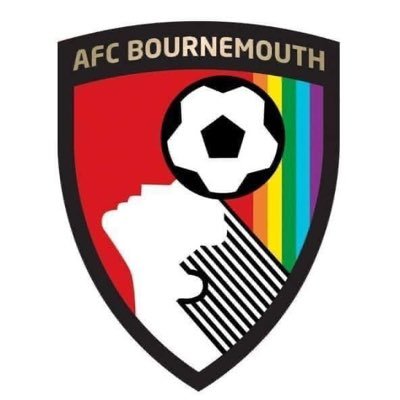 AFC Bournemouth's official LGBT+ and allies, supporters group 🌈🍒