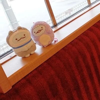 みっコさんのプロフィール画像