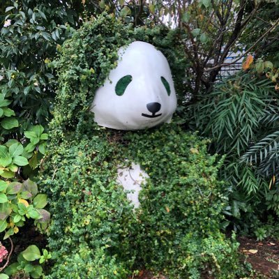 motsu_panda's profile picture. 日本史好き