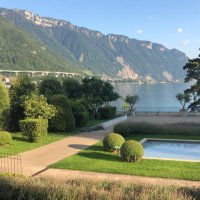 johnMSV OBE (@johnmsv) 's Twitter Profile Photo