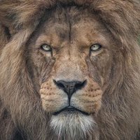 eleazargc (@eleazargc2) 's Twitter Profile