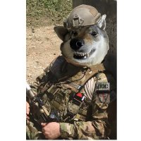 DocJoker 🇮🇱🇮🇹🇺🇦 (@docjoker) 's Twitter Profile