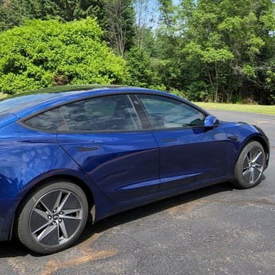 Family man, Blue LEMR Model 3(LEMRs unite) and Launch Series Model Y owner, gamer, Tesla and BEV | OG 100/100 Safety Score FSD Beta Tester