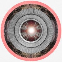HÆLOS (@haelos) 's Twitter Profile