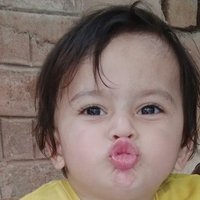 🌹حیدر میانہ🌹 (@haidermiana2) 's Twitter Profile