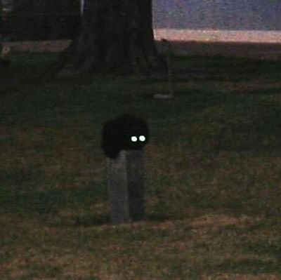 EverlandFairy's profile picture. 