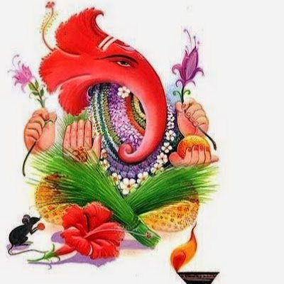Sksajj3's profile picture. 